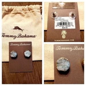 Iced blue stone earrings